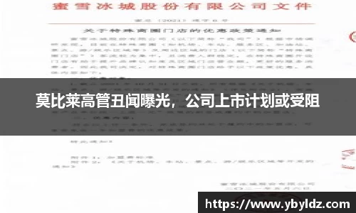 莫比莱高管丑闻曝光，公司上市计划或受阻