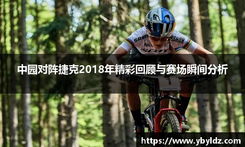 中园对阵捷克2018年精彩回顾与赛场瞬间分析